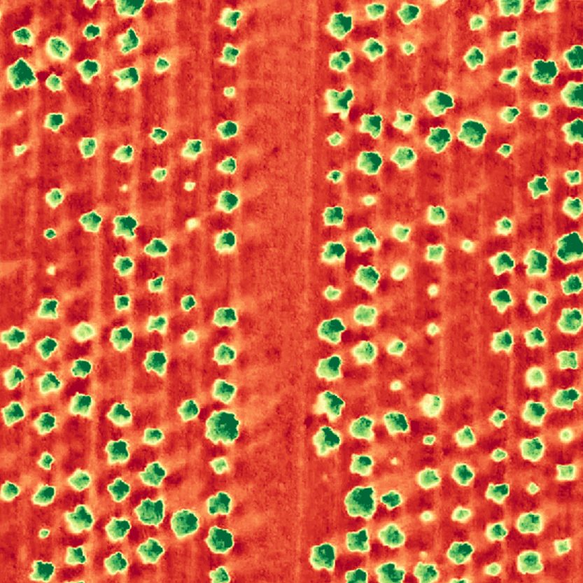 Precision Agriculture through Drone and AI Technology