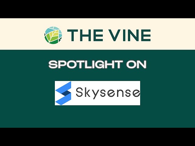 THE VINE Innovator Spotlight on Skysense