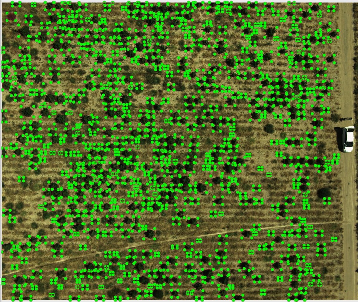 AI-detected plant counts overlaid on an aerial field image
