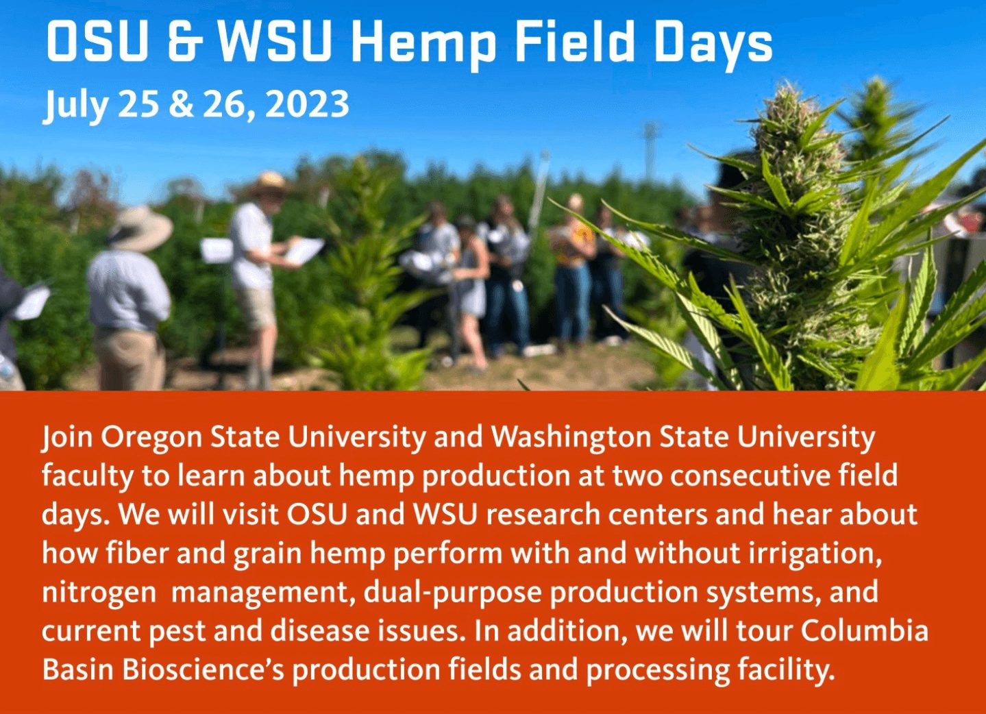 Skysense Showcases Cutting-Edge Technology at OSU & WSU Hemp Field Days